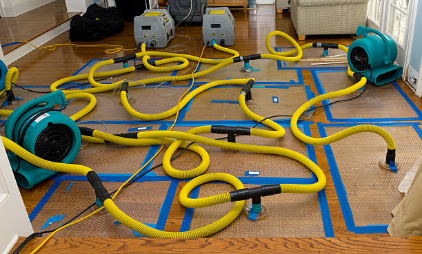 Professional Crawl Space Water Removal technician working in Bangor, MI